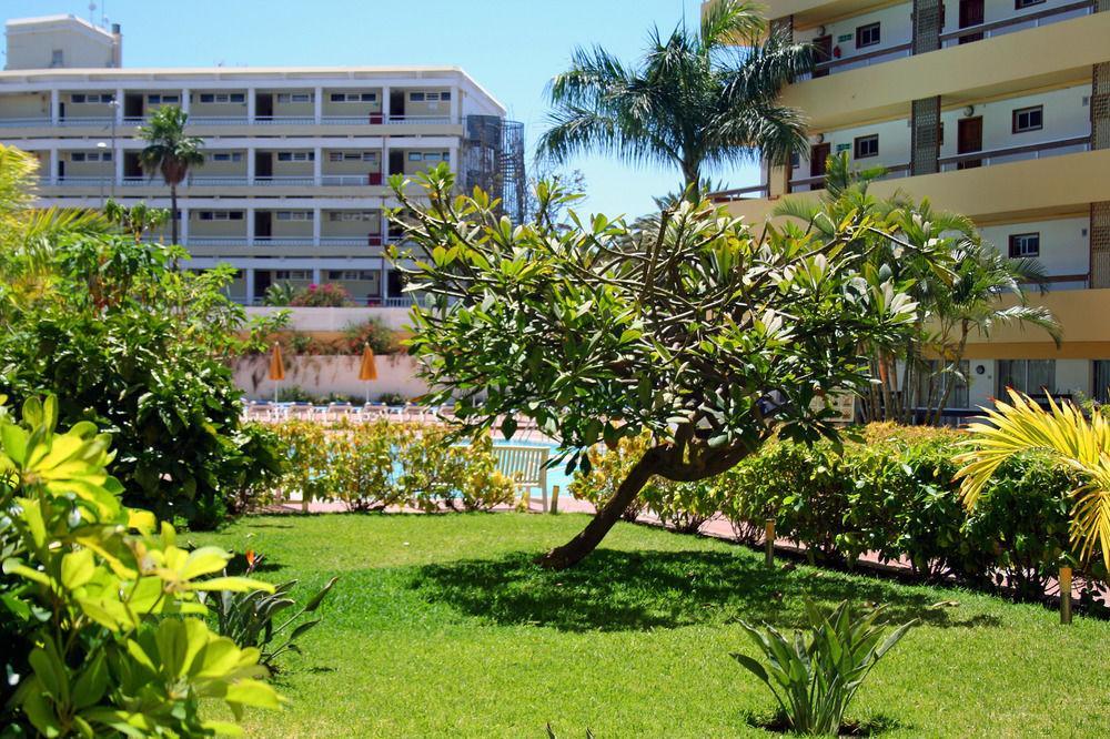 Apartamentos Las Camelias Playa del Inglés Extérieur photo